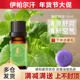 伊帕尔汗薄荷精油清理黑头毛孔清新空气面部香薰天然单方精油