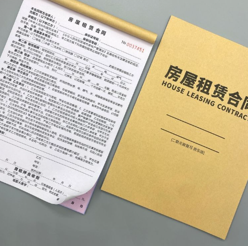 租房房屋租赁合同2024新版法律认可出租房商铺房东正规二联合同书