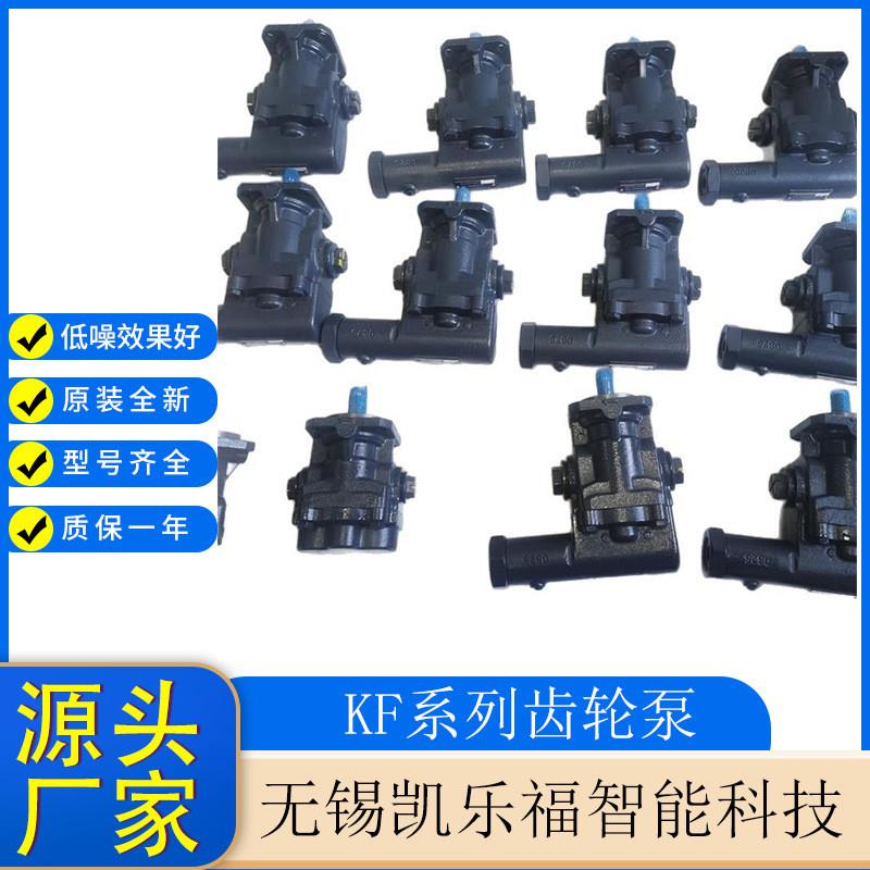 KRACHT克拉克齿轮泵KF12RF2/197-D15 真空滤油机油泵 空压机油泵