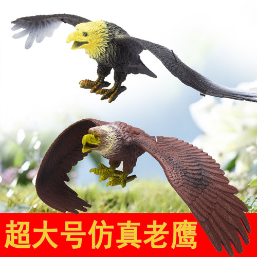 老鹰塑料逼真动物模型