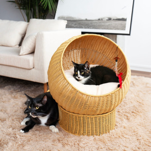 实木大型猫笼猫别墅猫房子猫咪产房猫爬架猫抓板狗窝藤编猫窝 四季