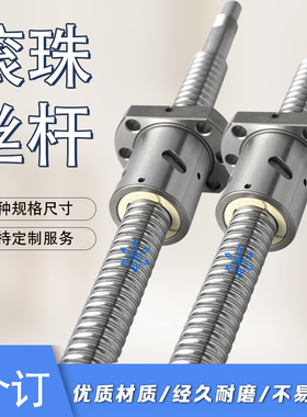 滚珠丝杠BSWE/BTWE/BTWP0802 1002 1204 1510 1520 2010 2510