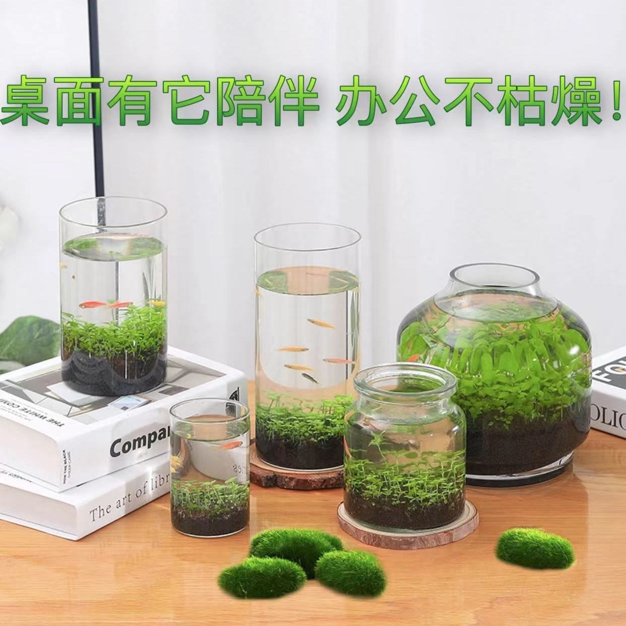水草打理淘宝天猫优惠券大全 品牌精品汇聚 价格大全移动版 最宠网 水草打理淘宝天猫优惠券大全 品牌精品汇聚 价格大全移动版 最宠网
