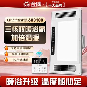 金牌浴霸集成吊顶风暖浴霸照明排气扇五合一卫生间浴室暖风机取暖