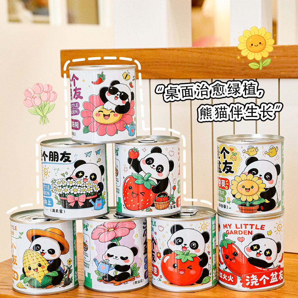 小学生创意礼品手工植物绿植罐头