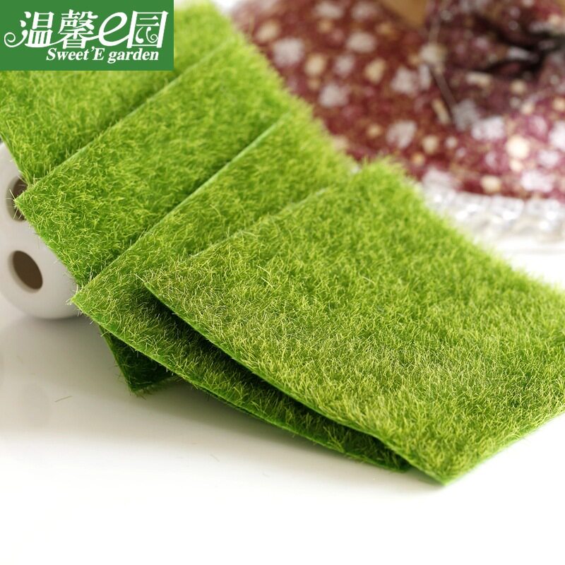 草皮坪生态瓶装饰草坪苔藓假白发