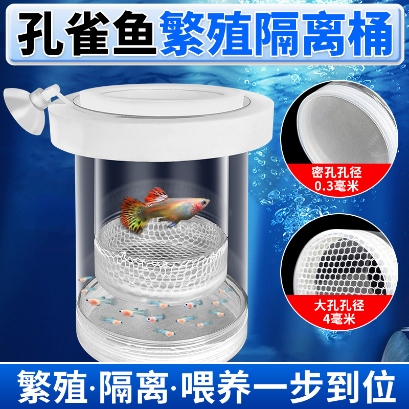 悬浮式孵化器孔雀鱼小鱼繁殖隔离
