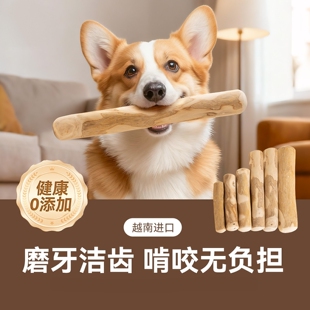 狗狗零食咖啡木磨牙棒大中小型犬耐咬洁齿棒防拆家天然木头狗玩具