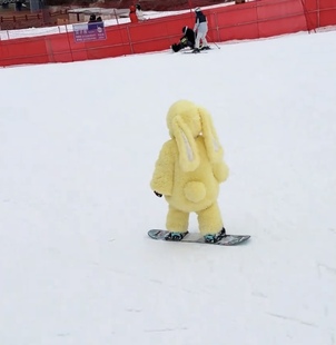 女童毛绒套装冬季新款儿童洋气可爱兔子衣服女孩毛衣短裤宝宝