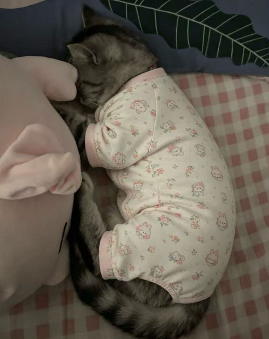 猫咪狗狗可爱保暖睡衣猫新款家居舒适四脚款幼犬通用超萌四脚
