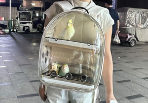 鹦鹉外出包透气大号双层透明便携外带鸟笼玄凤和尚金小太阳双肩包