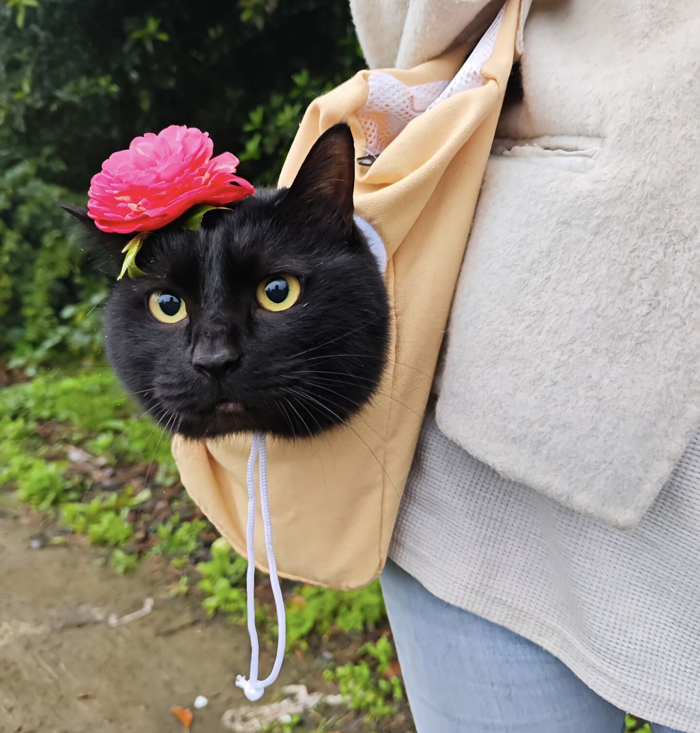 外出便携猫咪狗狗轻便保暖应激猫袋单肩露头背包宠物手提神器出行