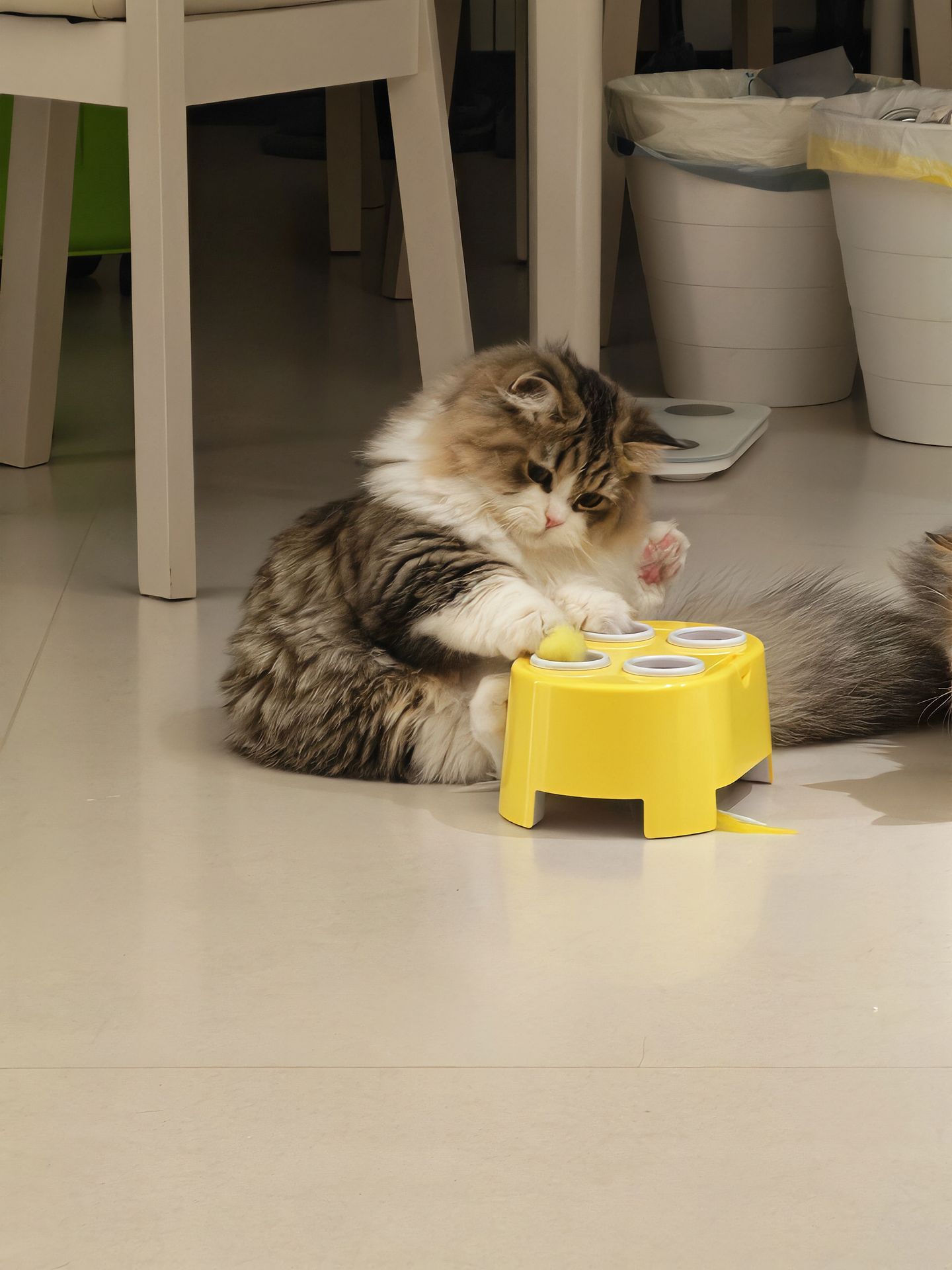 新款电动猫咪奶酪魔法盒逗猫玩具耐抓咬自嗨解闷互动捕猎玩具