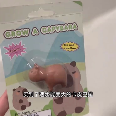 创意卡皮巴拉泡水膨胀儿童玩具有趣整蛊新奇