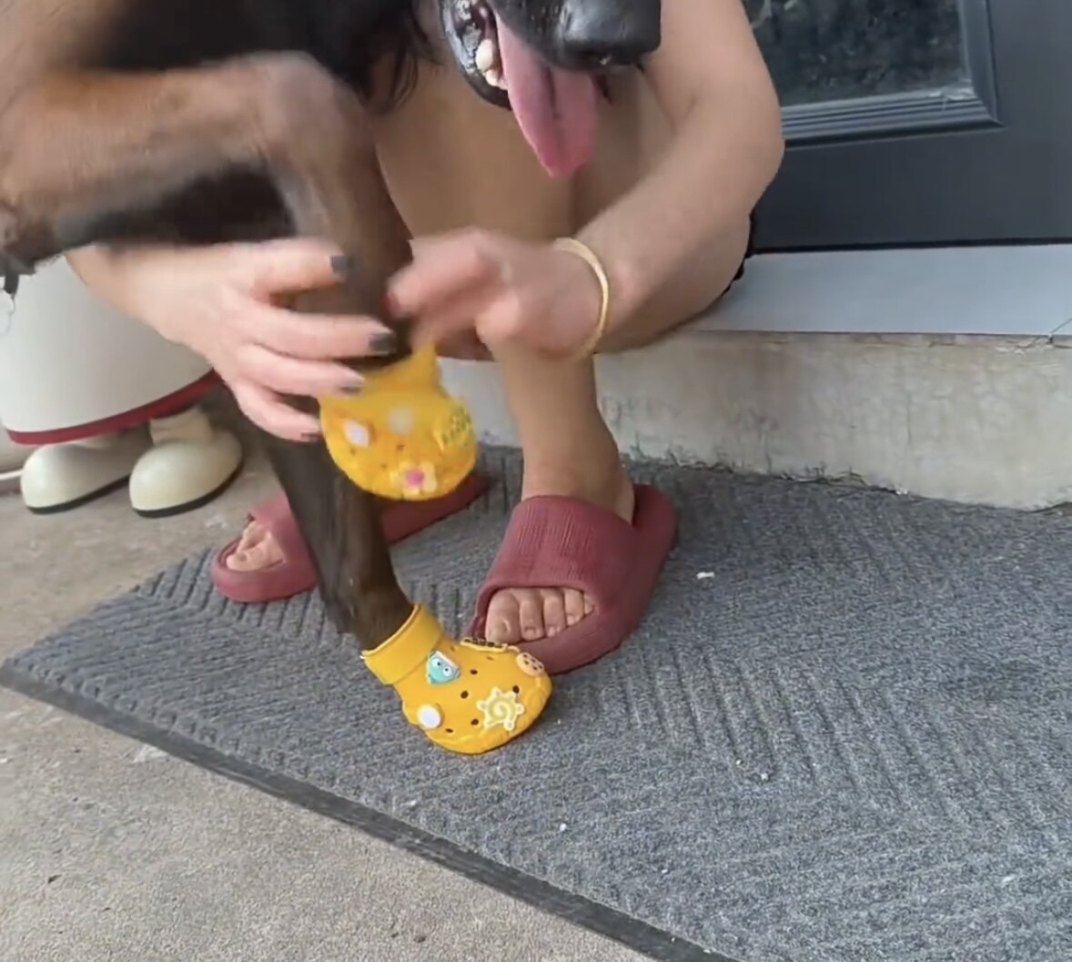 宠物鞋子狗狗鞋子防滑耐磨可水洗宠物鞋猫咪鞋子防滑耐磨可水洗
