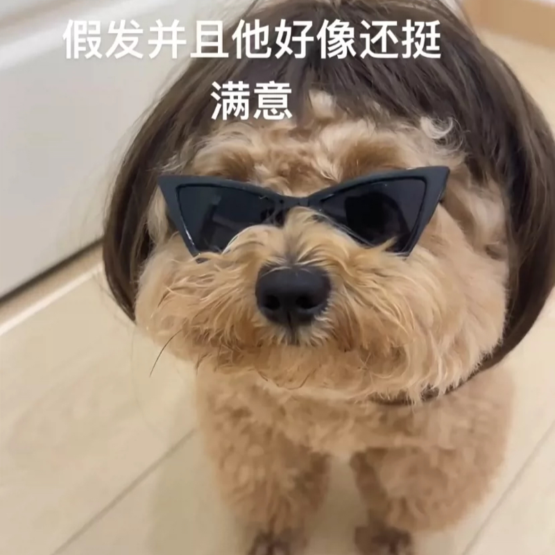 马尔济斯修勾同款墨镜可爱耍酷狗狗三角墨镜猫狗摆拍道具宠物配饰
