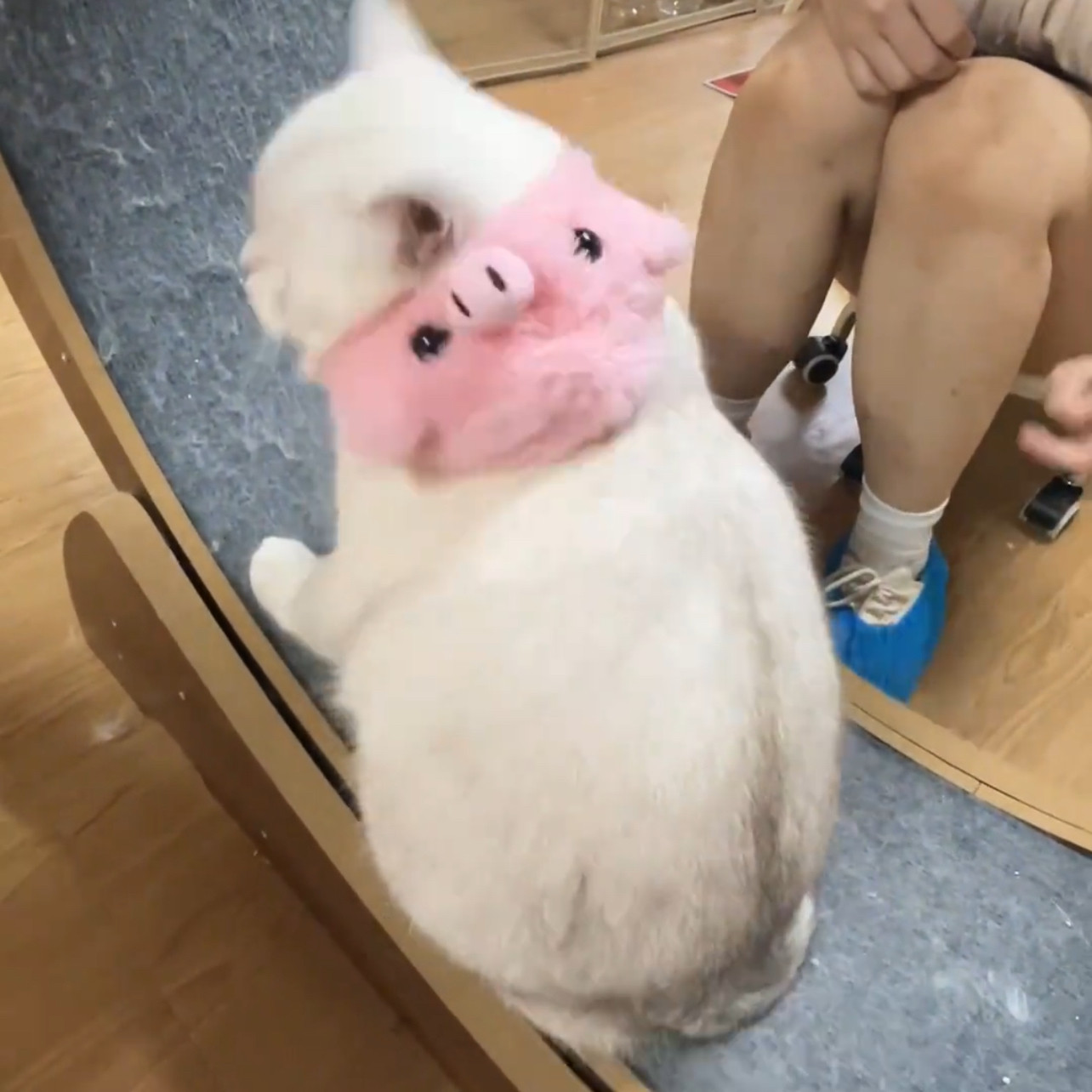 小猪宠物变装头套宠物用品新款毛茸茸狗狗小猫头饰搞怪造型拍照
