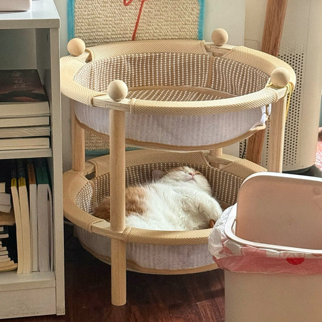 温馨用具宠物坚固猫抓板可睡可抓剑麻猫狗通用洗脸盆猫窝双层实木