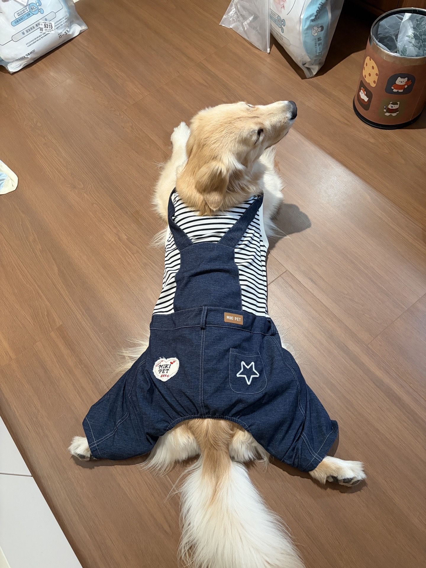 狗狗衣服秋冬款金毛拉布拉多边牧背带裤宠物牛仔裤泰迪比熊