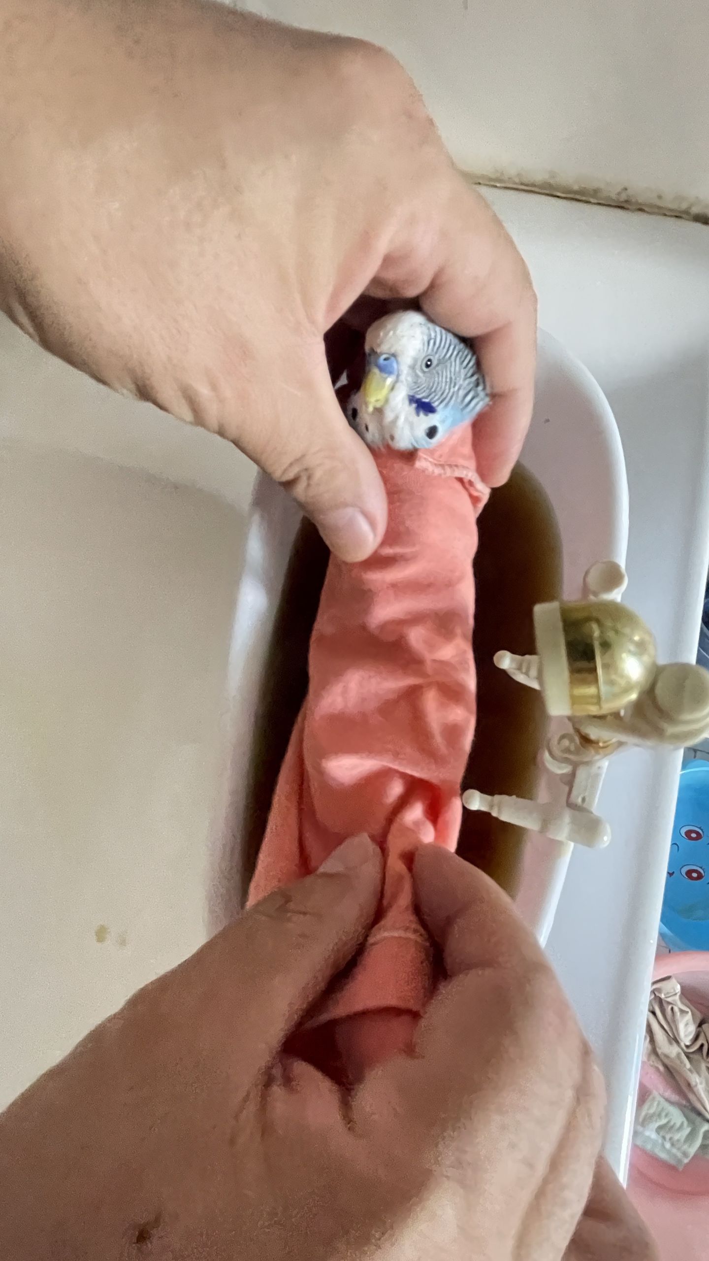 单手出鸽袋磁铁门子鸽衣鸽囊左手右手舞台变鸽子道具拉链鸽袋