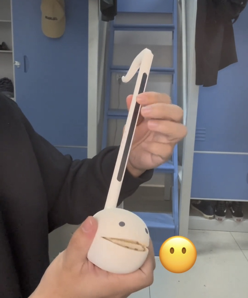 电音二胡儿童玩具乐器抖音同款生日礼物