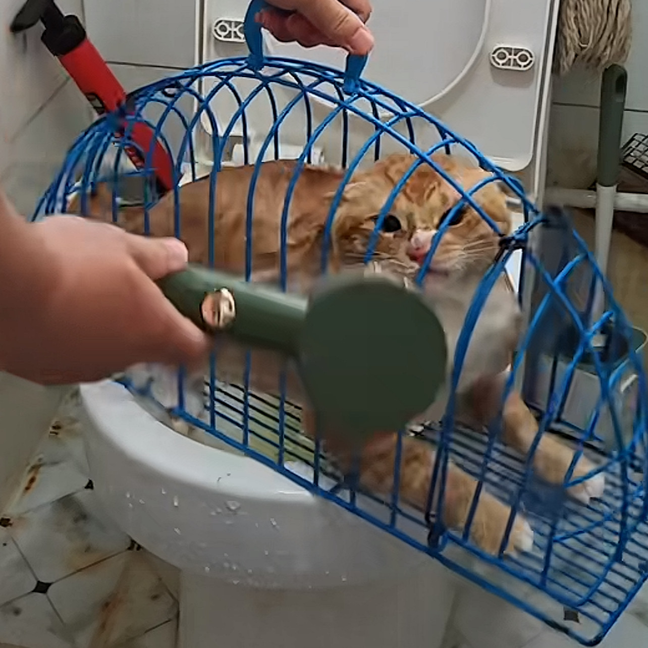 小猫洗澡笼防抓咬洗猫便携式铁笼子吹猫笼洗猫笼子夏季猫咪吹风