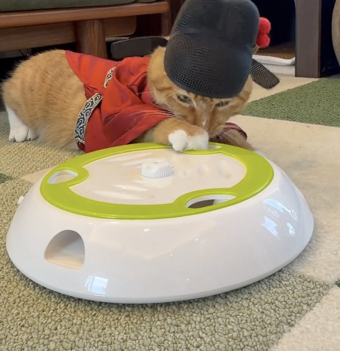 智能猫玩具电动打地鼠机自嗨解闷神器猫咪用品自动逗猫棒充电