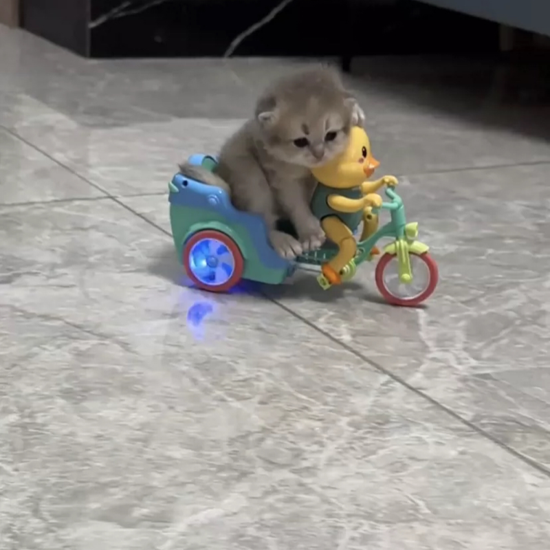 小鸭电动三轮车特技炫舞炫酷灯光音乐万向行走卡通萌趣仿真玩具