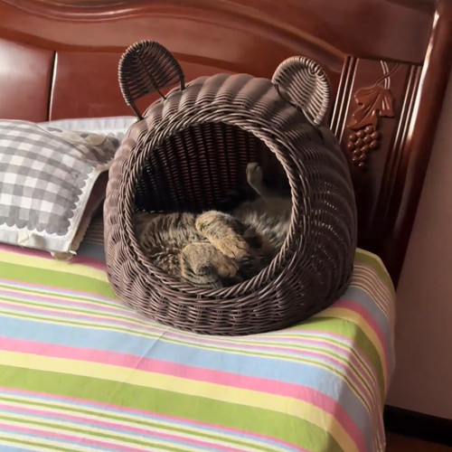 夏季半封闭式小型犬猫狗同款新款2026房子藤编宠物猫窝手工编织