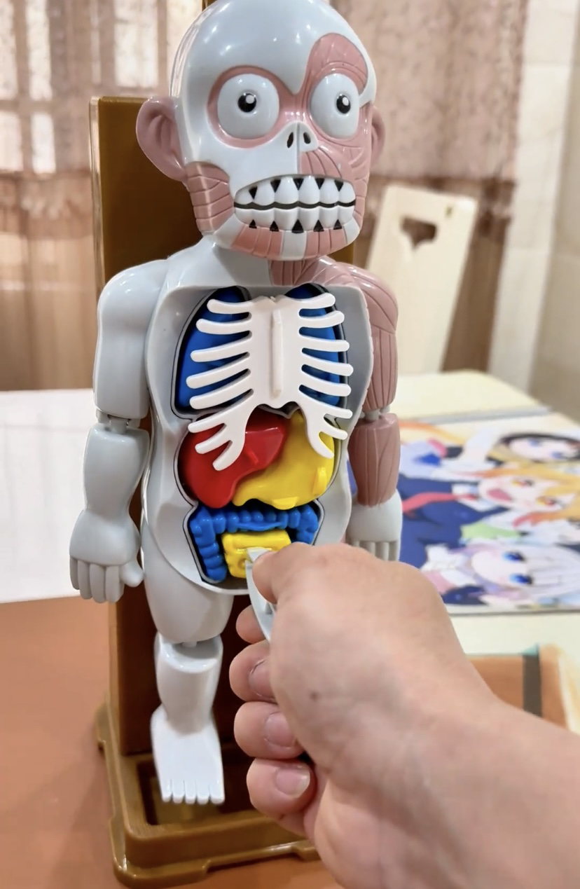 人体模型吓人玩具仿真骷髅器官恐怖整蛊聚会互动网红儿童玩具男孩