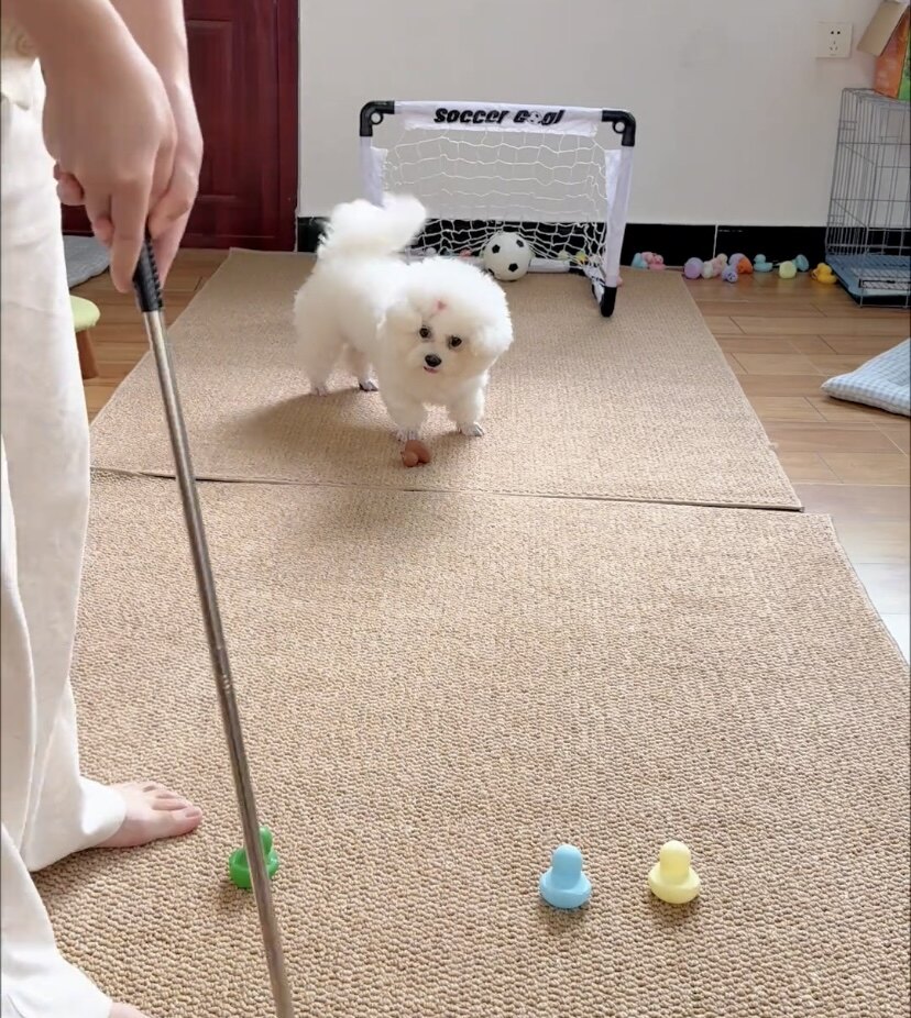 新款足球门折叠球网足球课家庭户外小学校运动踢球简易门框