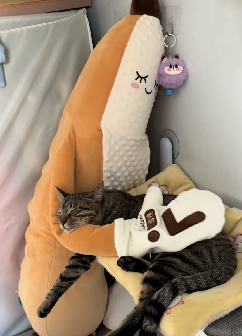 新款香蕉哄睡抱枕夹腿睡觉安抚玩偶女生日礼物成人孕妇陪睡公仔