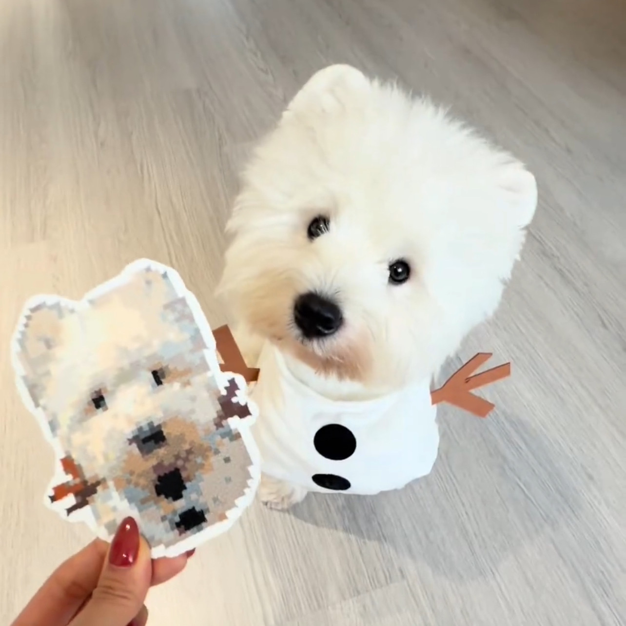 万圣节搞怪笑拿刀2026小中型犬可爱个性搞怪变身衣猫咪宠物衣服