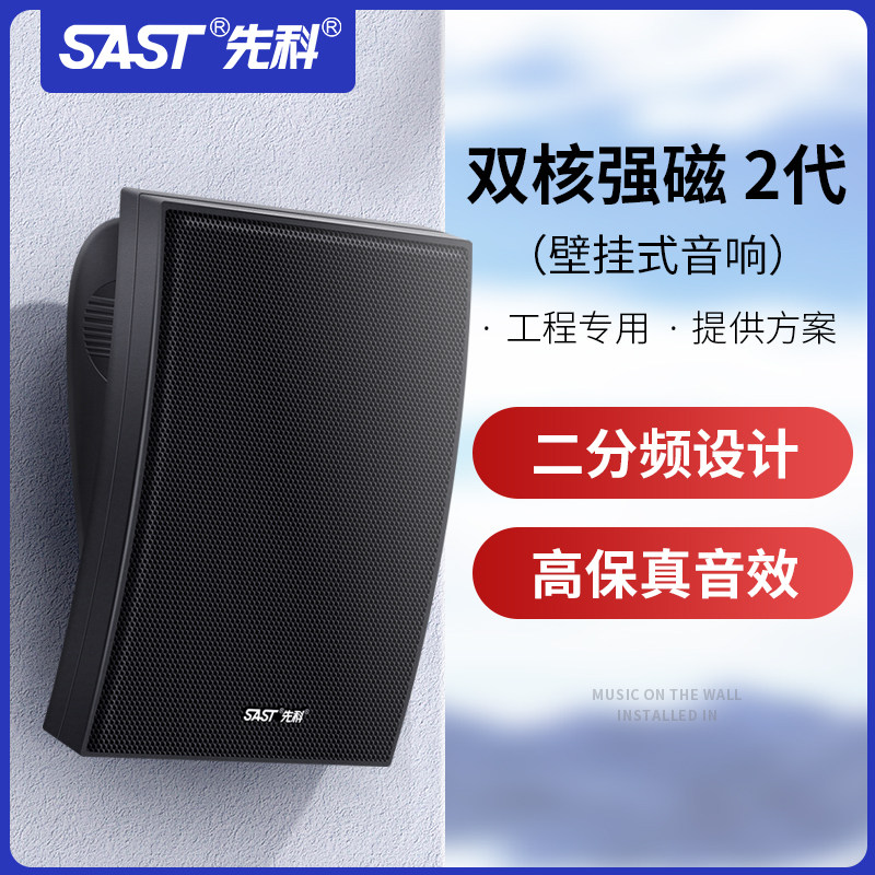 先科A6壁挂音响音箱店铺用餐厅悬挂墙挂壁式室内蓝牙专用功放套餐