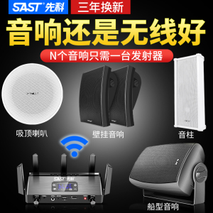 先科D3壁挂式无线蓝牙音响重低音箱店铺专用吸顶挂墙广播会议室内