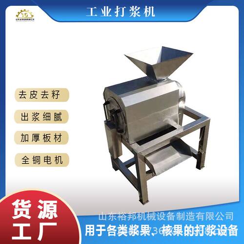 厂家直销工业果蔬去核机 油柑荔枝酸枣大型商业不锈钢设备