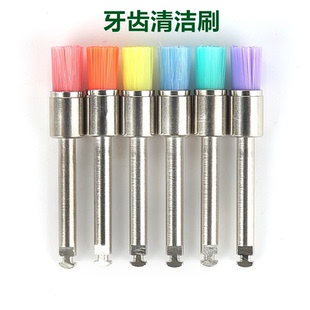 牙齿美白 平头碗刷抛光刷 低速弯机头清洁牙齿 口腔耗材材料 盒装