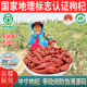 无硫磺不染色大颗粒正宗苟枸杞子记干宁夏中宁特级500g官方旗舰店