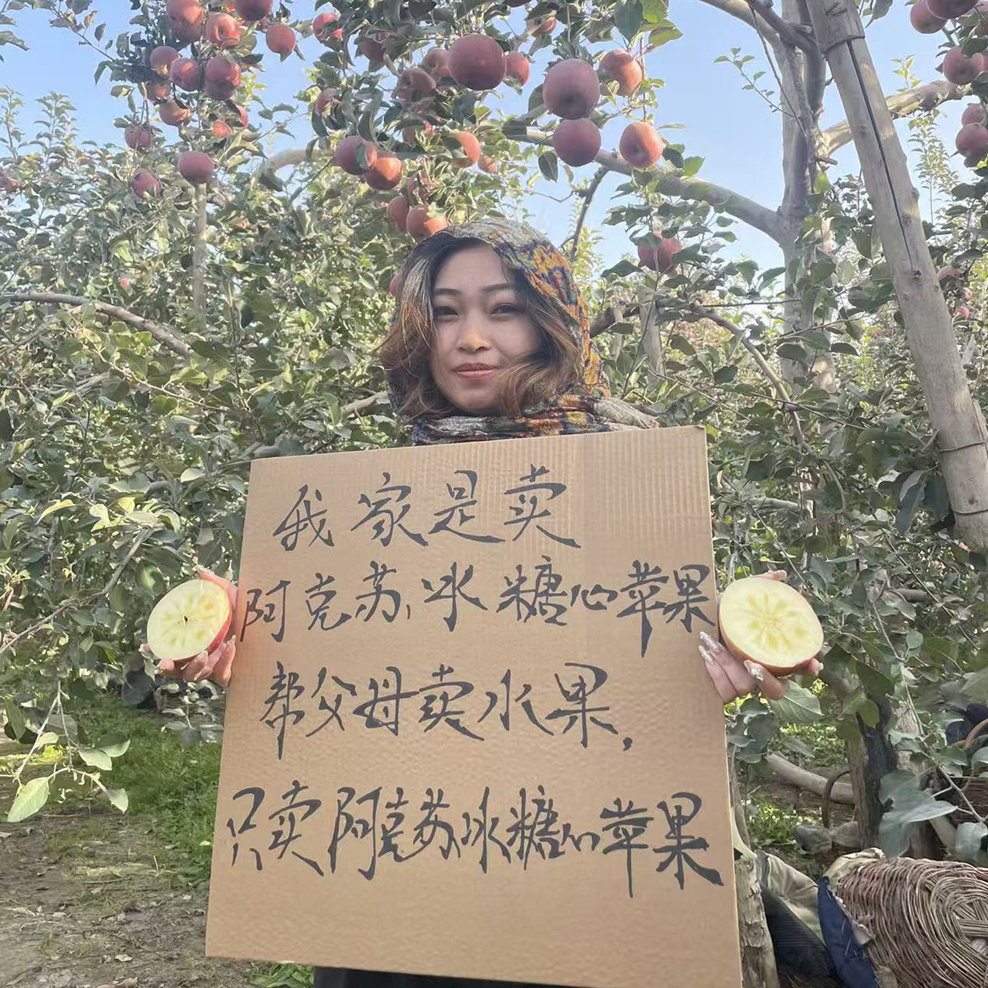 正宗新疆特级阿克苏红旗坡冰糖心苹果当季新鲜水果10斤特大果礼盒,水产肉类/新鲜蔬果/熟食,苹果,淘宝优惠券,粉丝福利购,淘宝优惠卷