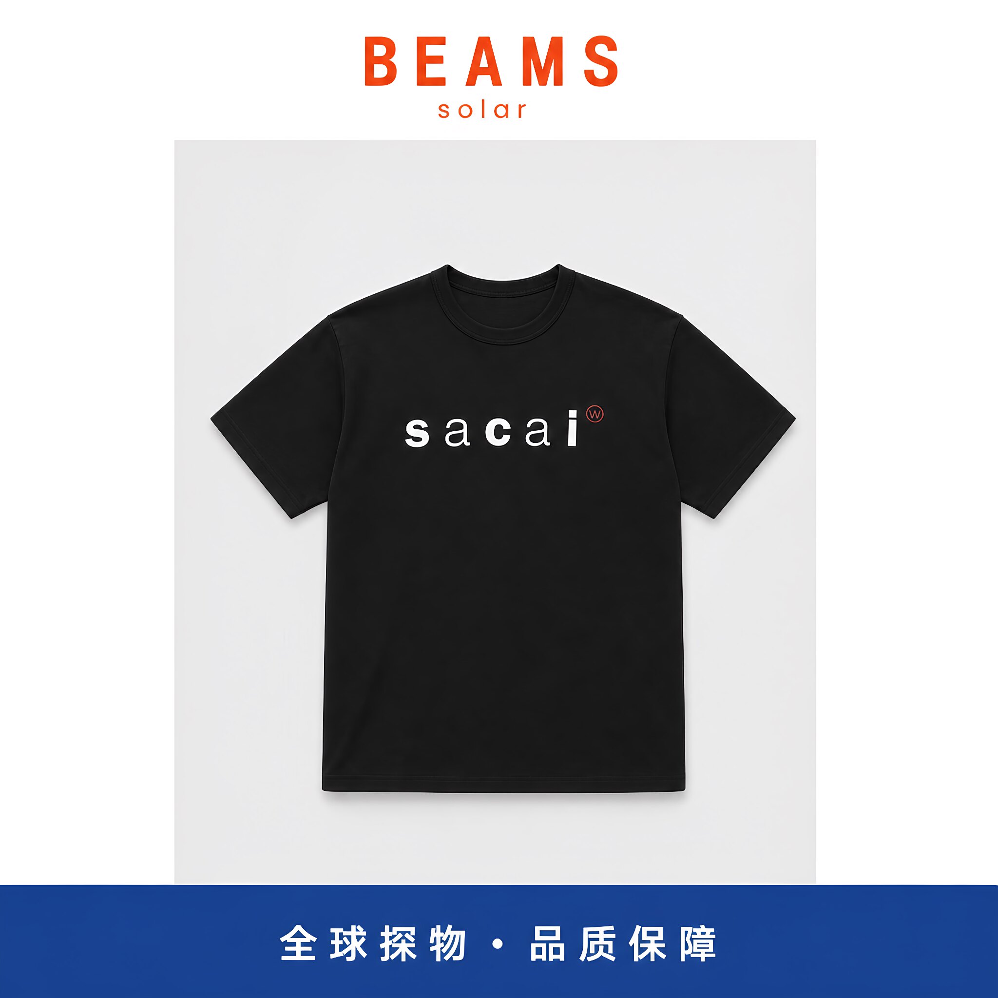 【SOLAR BEAMS】潮牌WTAPS Print联名后背字母重磅棉休闲短袖T恤 - 实物图