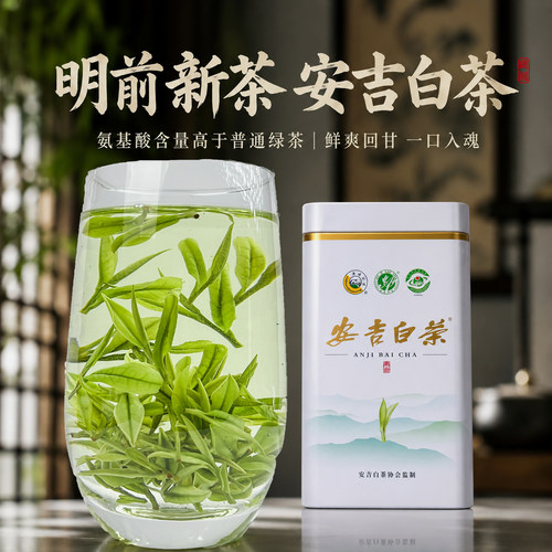 2026新茶正宗安吉白茶特级250克