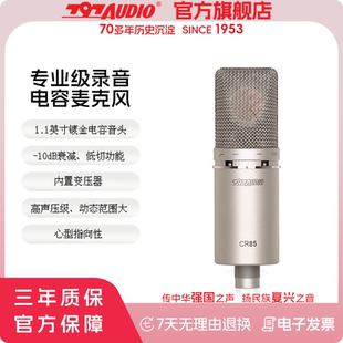 797AUDIO 七九七音响CR85大膜片单指向性专业录音话筒内置变压器