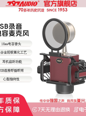 797AUDIO/七九七音响D501录音直播话筒USB专业录音麦克风直播设备