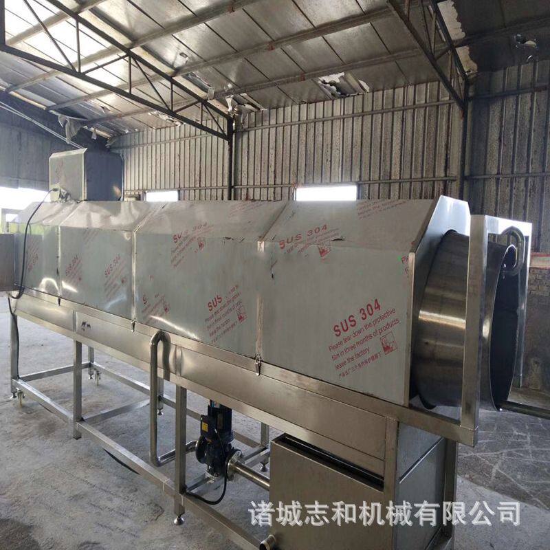 李子蓝莓滚筒磨皮机 全自动水果蔬菜清洗设备
