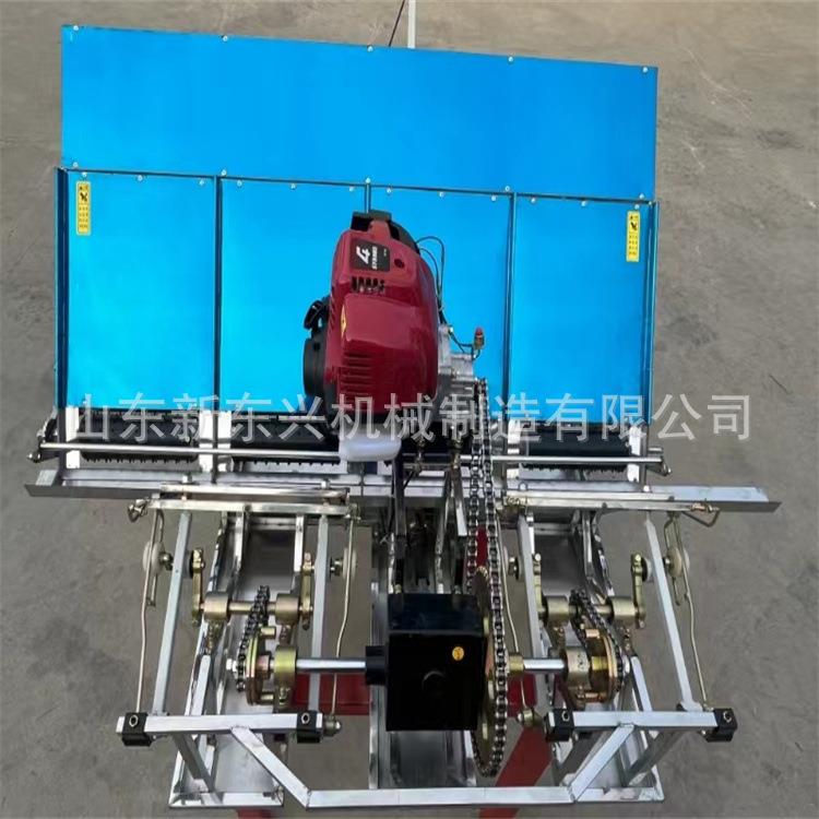 2025新型水稻插秧机 汽油牵引式6行插秧机 7寸育苗盘插秧机