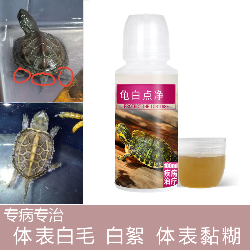 乌龟药乌龟白点药治疗龟壳白点发霉体表黏糊发白长白毛白色絮状病