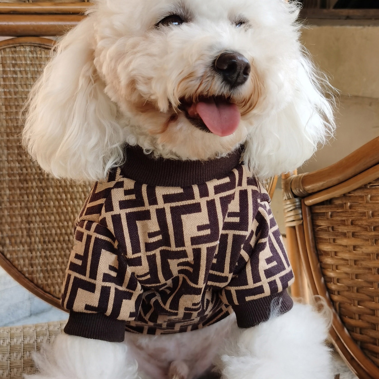 狗狗毛衣大型犬宠物衣服秋冬潮牌保暖比熊柯基巨贵泰迪金毛萨摩耶