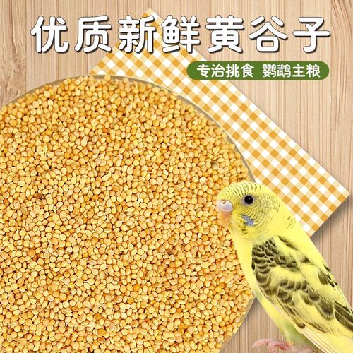 新黄谷子带壳小米虎皮牡丹玄凤中小型鹦鹉文鸟鸟粮鸟食鸟饲料粮食