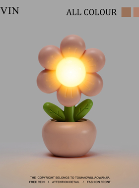 Kevin家!无聊了让花朵小夜灯陪伴你!可爱桌面摆件治愈系生日礼物