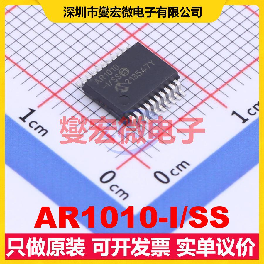 AR1010-I/SS SSOP-20 触摸屏控制器芯片IC